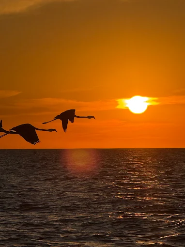Parque Nacional Ansenuza