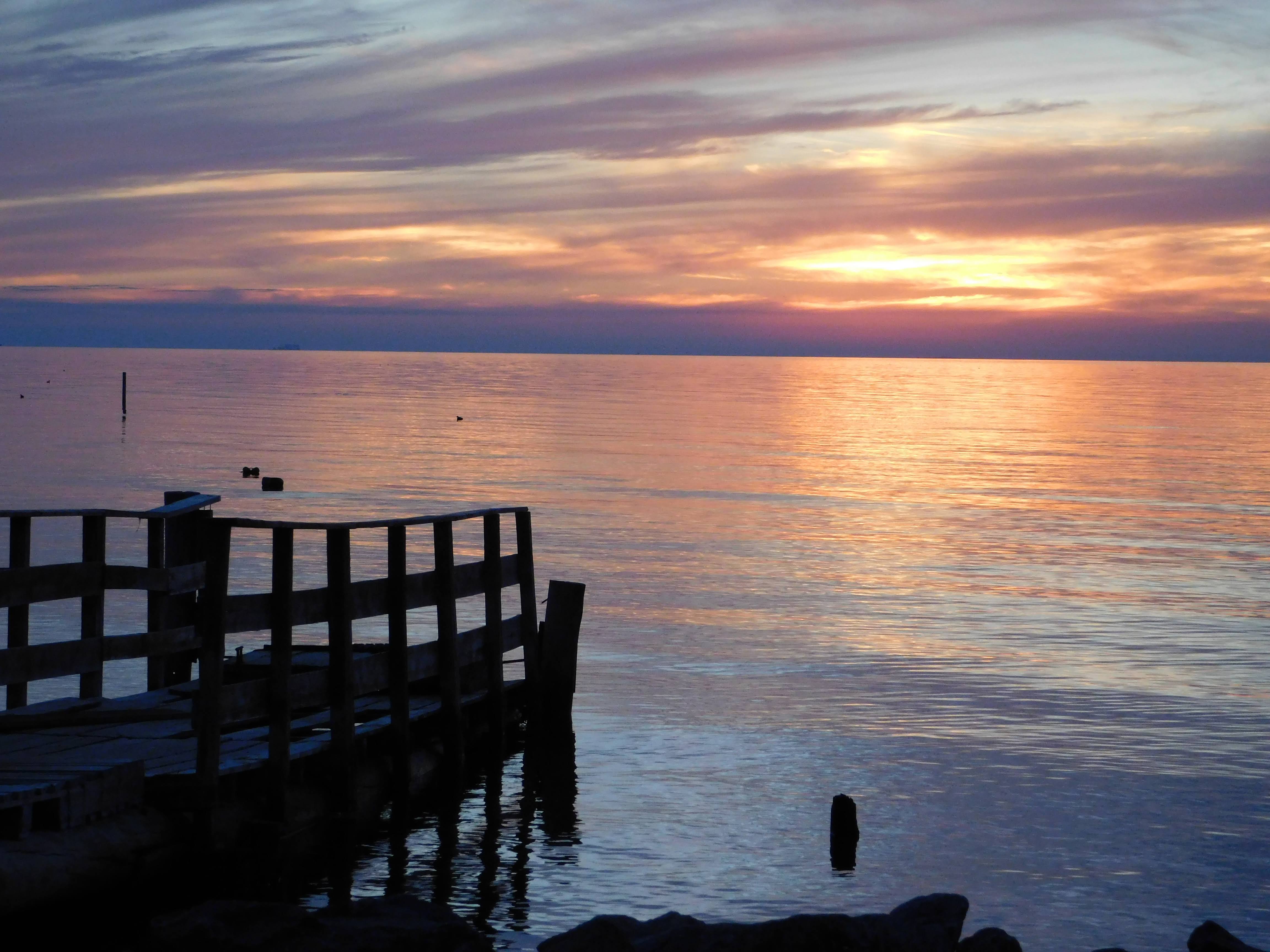 Paseo actual en Miramar